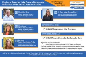 Lake County Democrats endorsements mailer - front